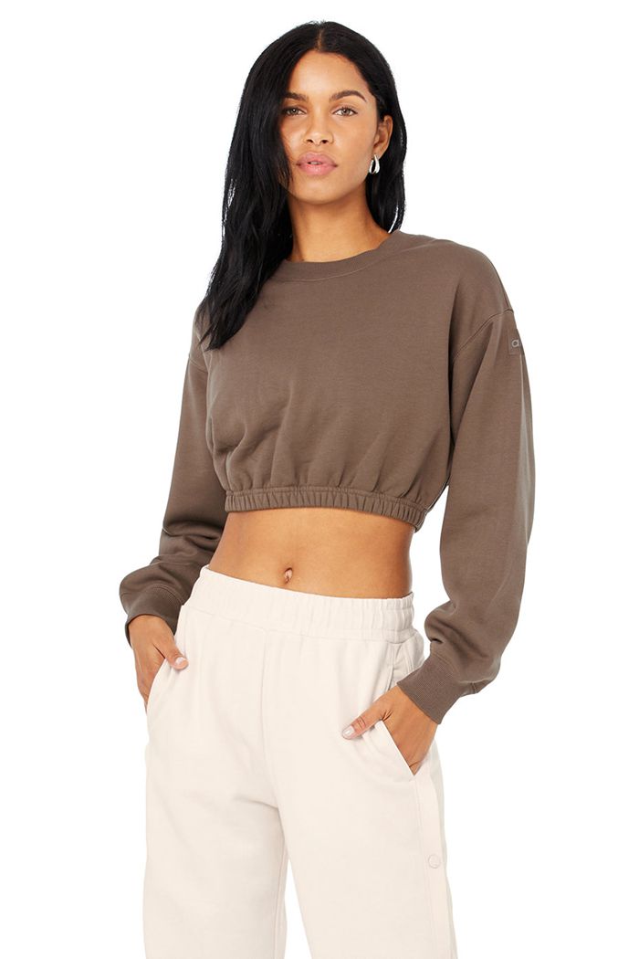 Alo Yoga Devotion Crew Neck Sweatshirt Dam Bruna | 3524168-SB