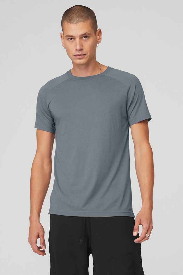 Alo Yoga The Triumph Crew Neck Tee Short Sleeve Herr Grå | 2687910-MN