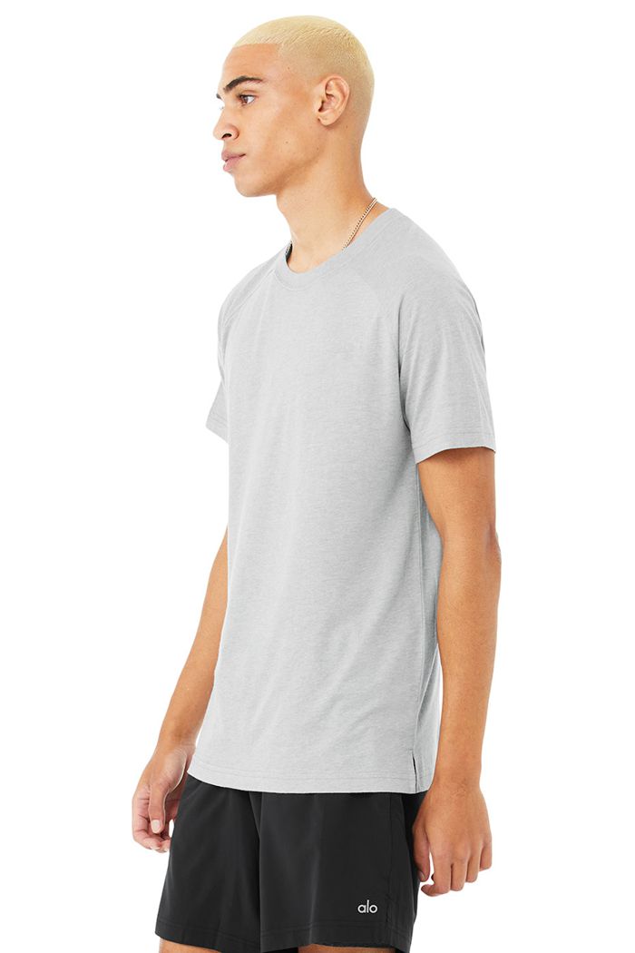 Alo Yoga The Triumph Crew Neck Tee Short Sleeve Herr Grå | 3081627-XJ