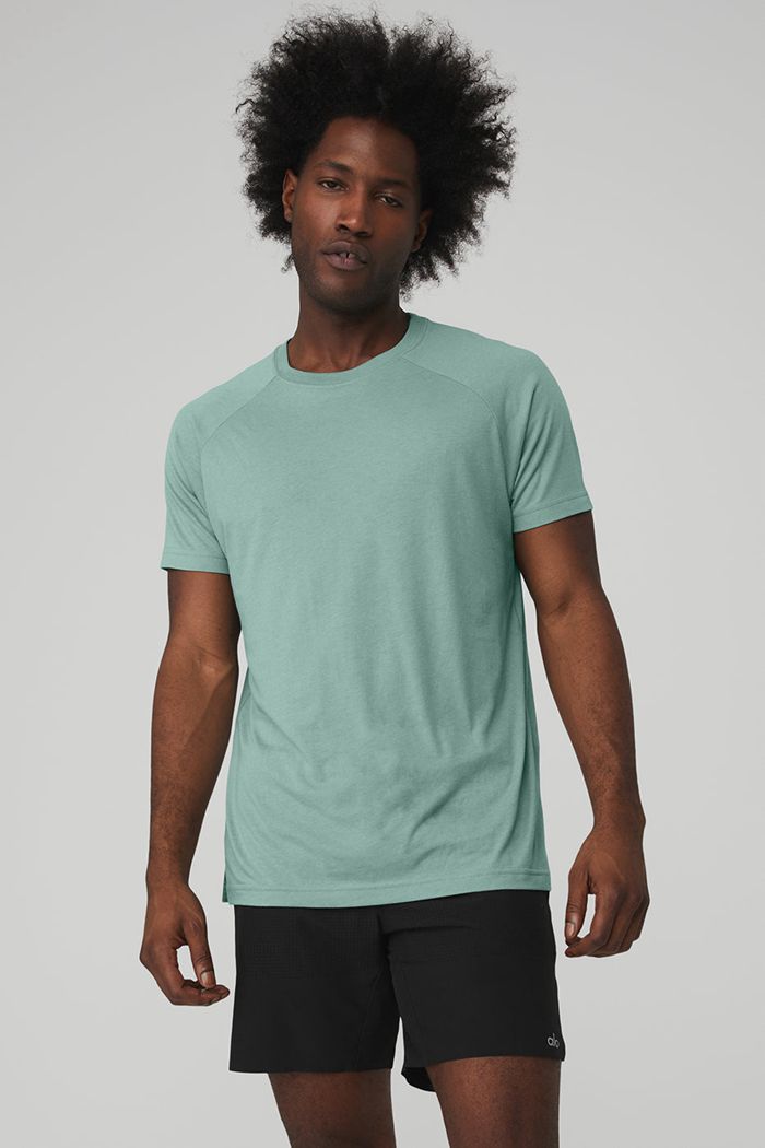 Alo Yoga The Triumph Crew Neck Tee Short Sleeve Herr Blå | 8207163-JR