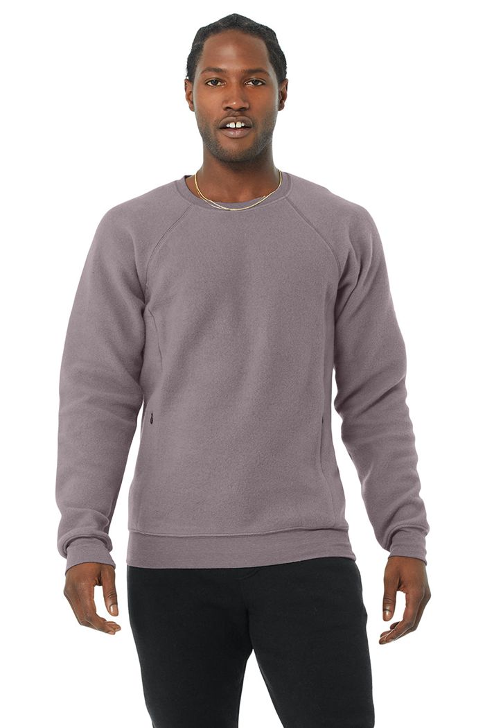 Alo Yoga Triumph Crew Neck Sweatshirt Long Sleeve Herr Lila | 2056941-TG