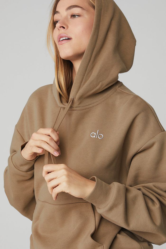 Alo Yoga Accolade Hoodie Dam Bruna | 3961580-WO