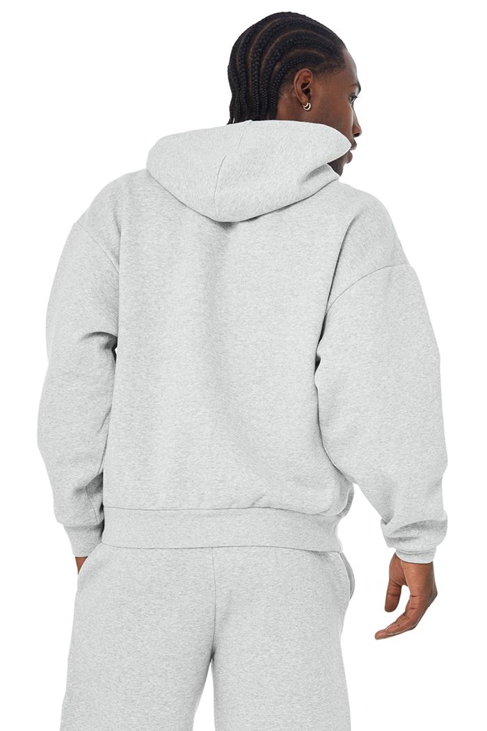 Alo Yoga Accolade Hoodie Herr Grå | 2864950-ZD