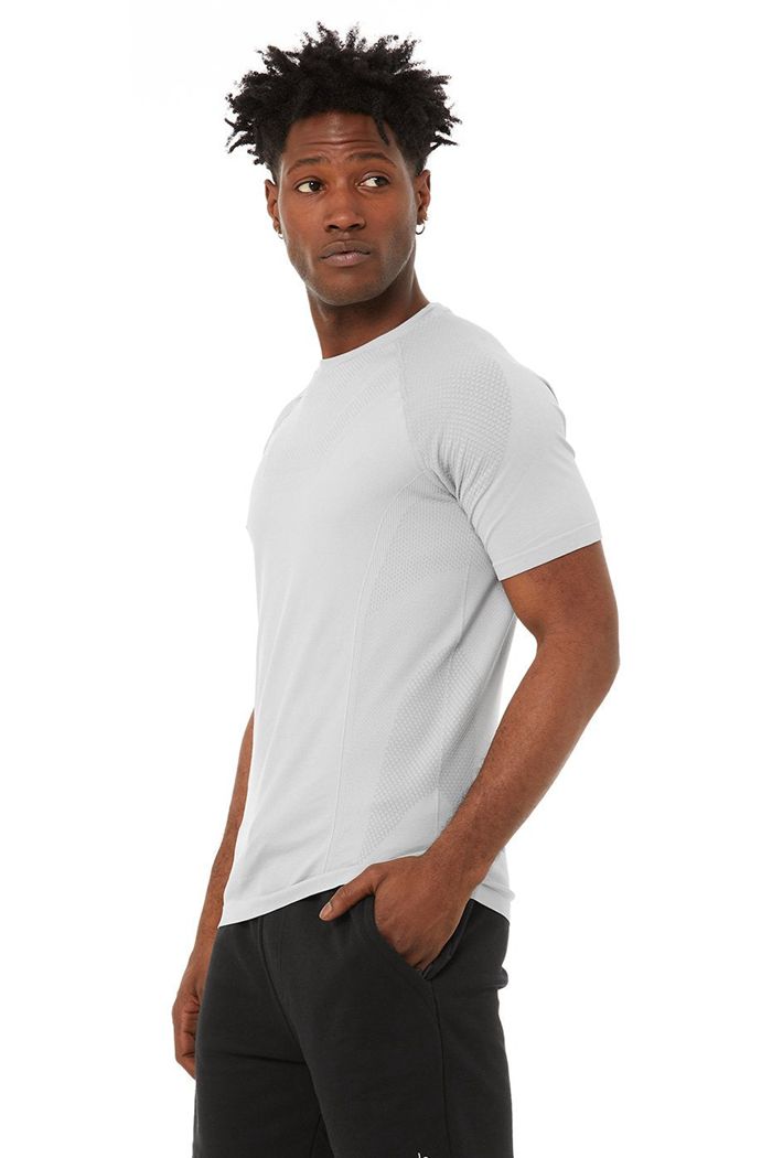 Alo Yoga Amplify Seamless Tee Short Sleeve Herr Grå | 1320698-PR