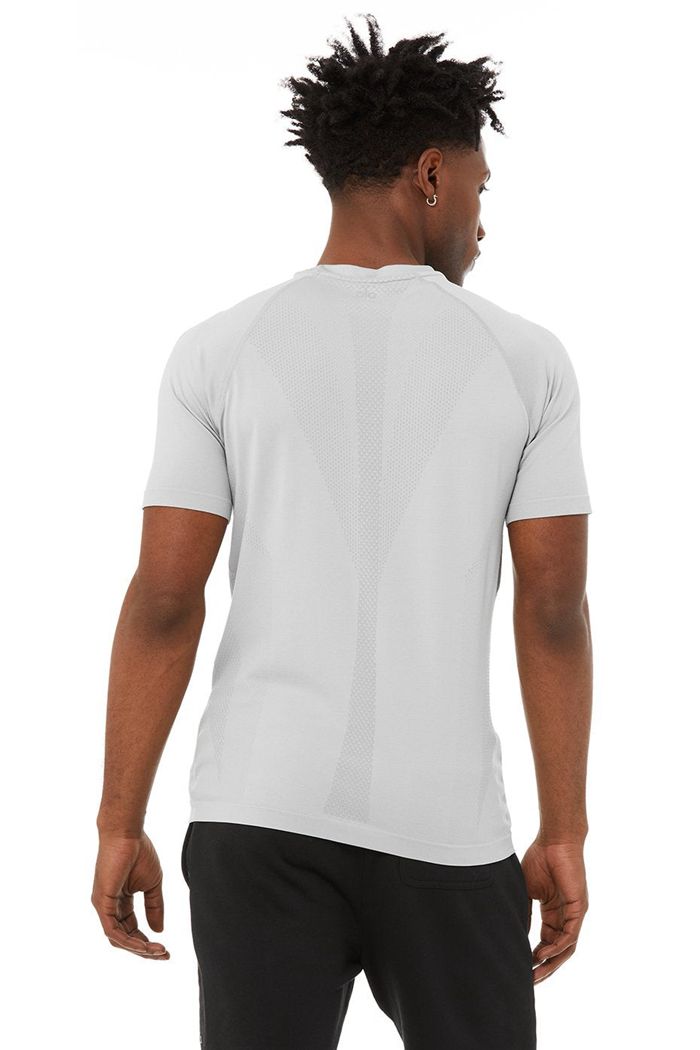 Alo Yoga Amplify Seamless Tee Short Sleeve Herr Grå | 1320698-PR