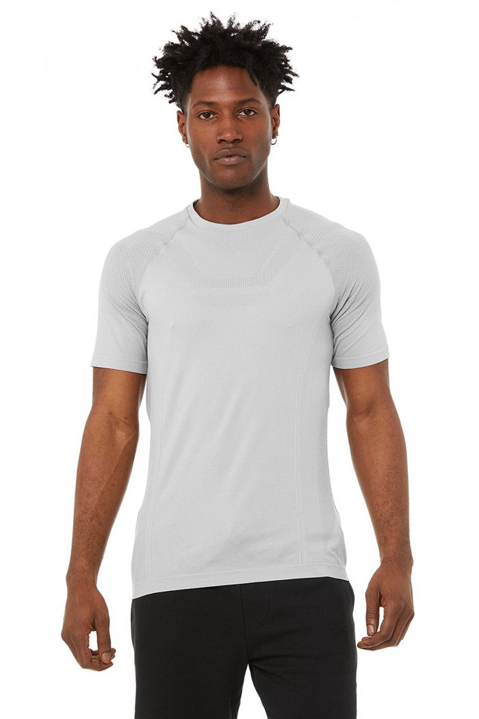 Alo Yoga Amplify Seamless Tee Short Sleeve Herr Grå | 1320698-PR