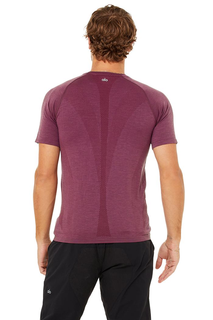 Alo Yoga Amplify Seamless Tee Short Sleeve Herr Röda | 2786041-WI