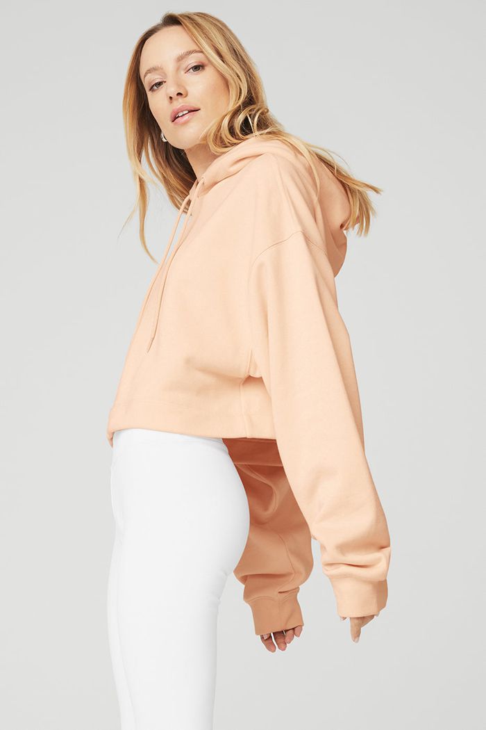 Alo Yoga Bae Hoodie Dam Beige | 7192450-UR