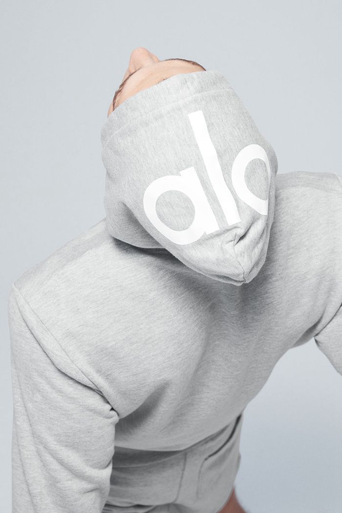 Alo Yoga Caliber Hoodie Herr Grå | 4536807-IH