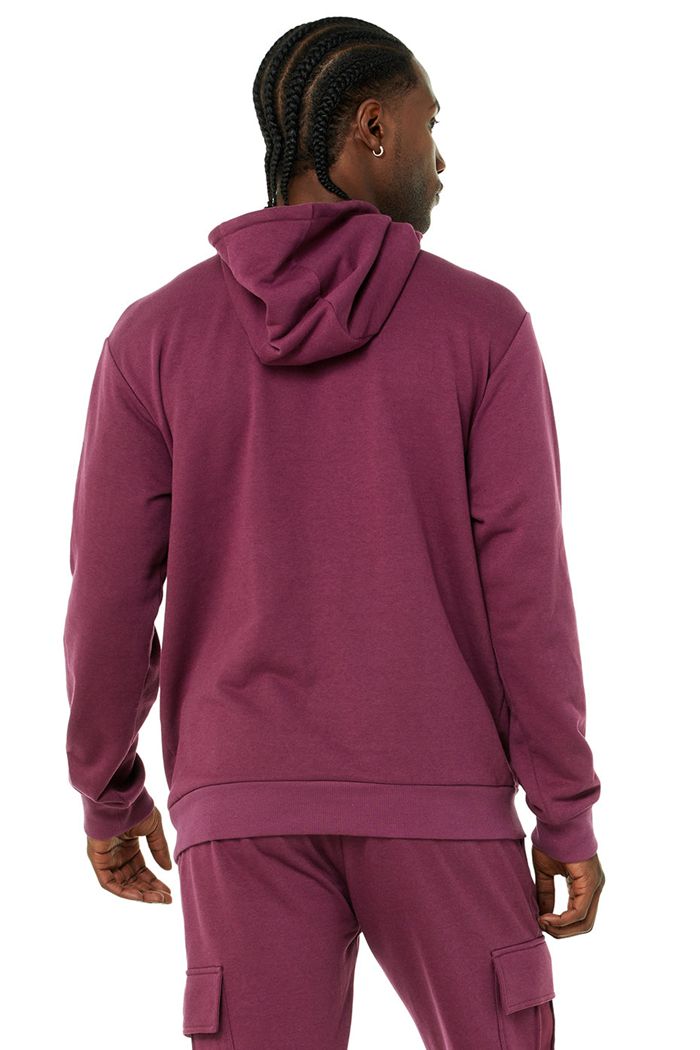 Alo Yoga Highline Hoodie Herr Röda | 5187043-OU