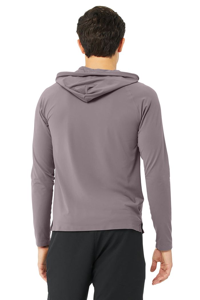 Alo Yoga Idol Hooded Runner Hoodie Herr Lila | 2340596-MO