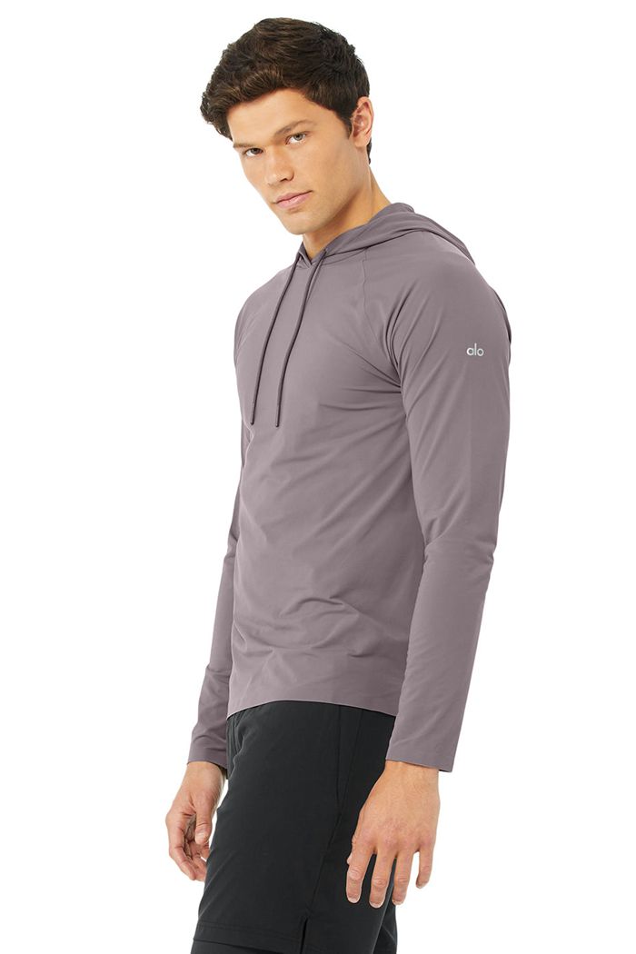 Alo Yoga Idol Hooded Runner Hoodie Herr Lila | 2340596-MO