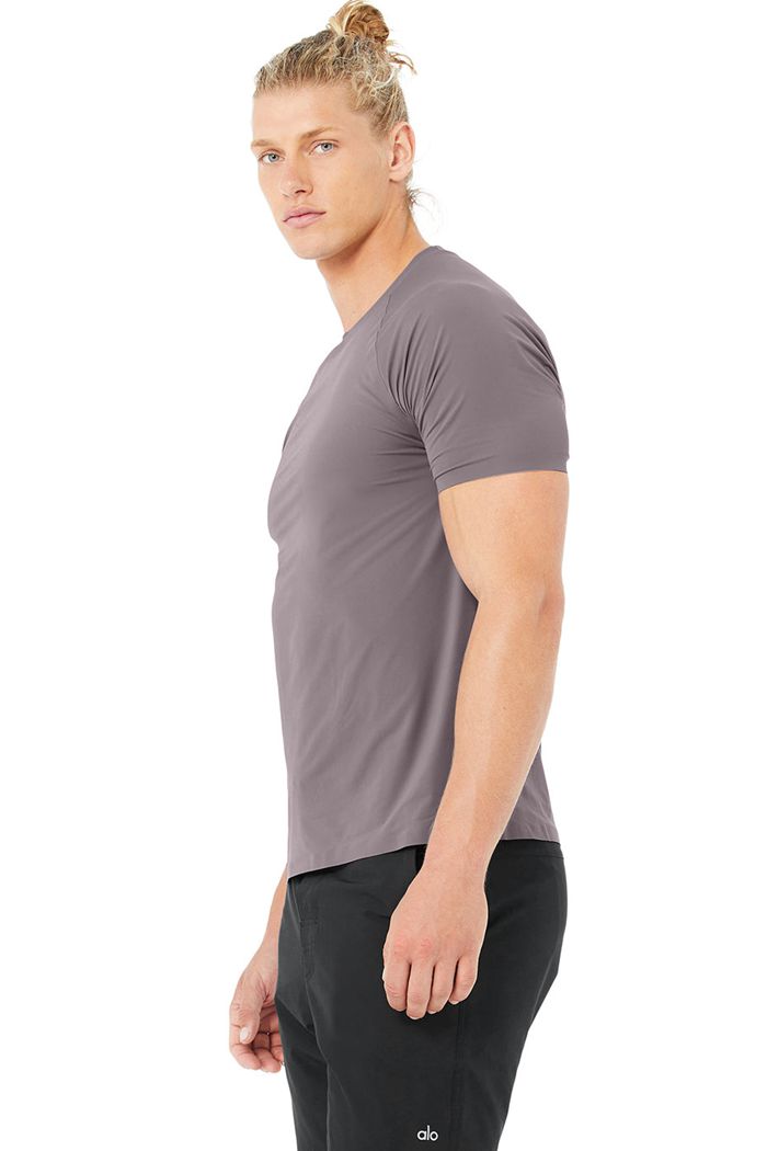 Alo Yoga Idol Performance Tee Short Sleeve Herr Lila | 4672530-FU