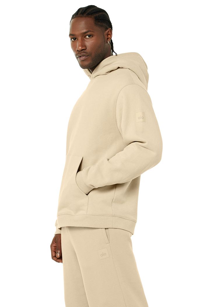 Alo Yoga Renown Hoodie Herr Bruna | 8569307-KH