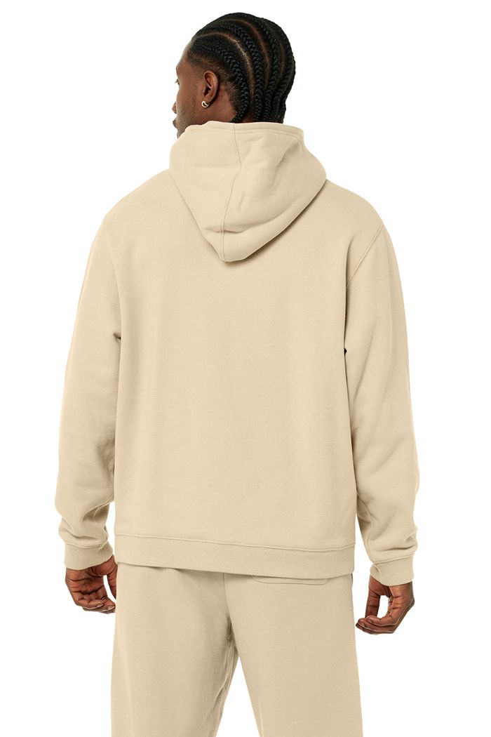 Alo Yoga Renown Hoodie Herr Bruna | 8569307-KH