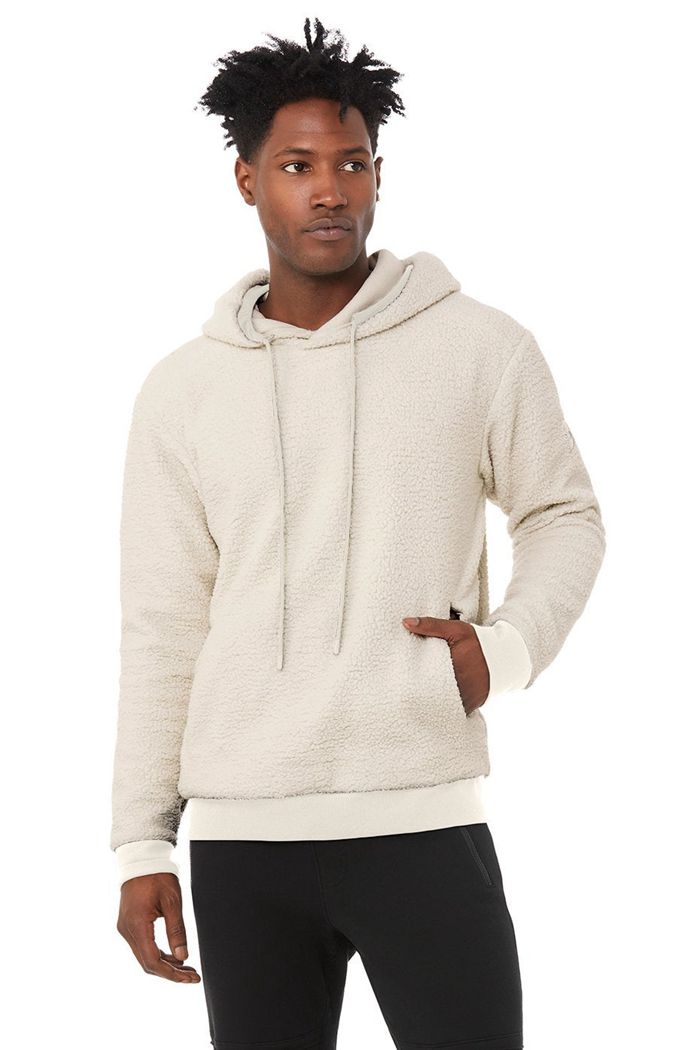 Alo Yoga Sherpa Hoodie Herr Beige | 3729056-MU