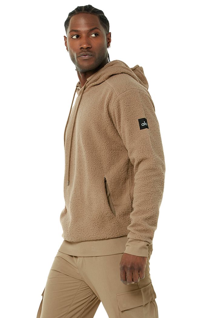 Alo Yoga Sherpa Hoodie Herr Bruna | 6470513-DE