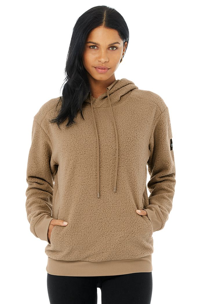 Alo Yoga Sherpa Hoodie Herr Bruna | 6470513-DE