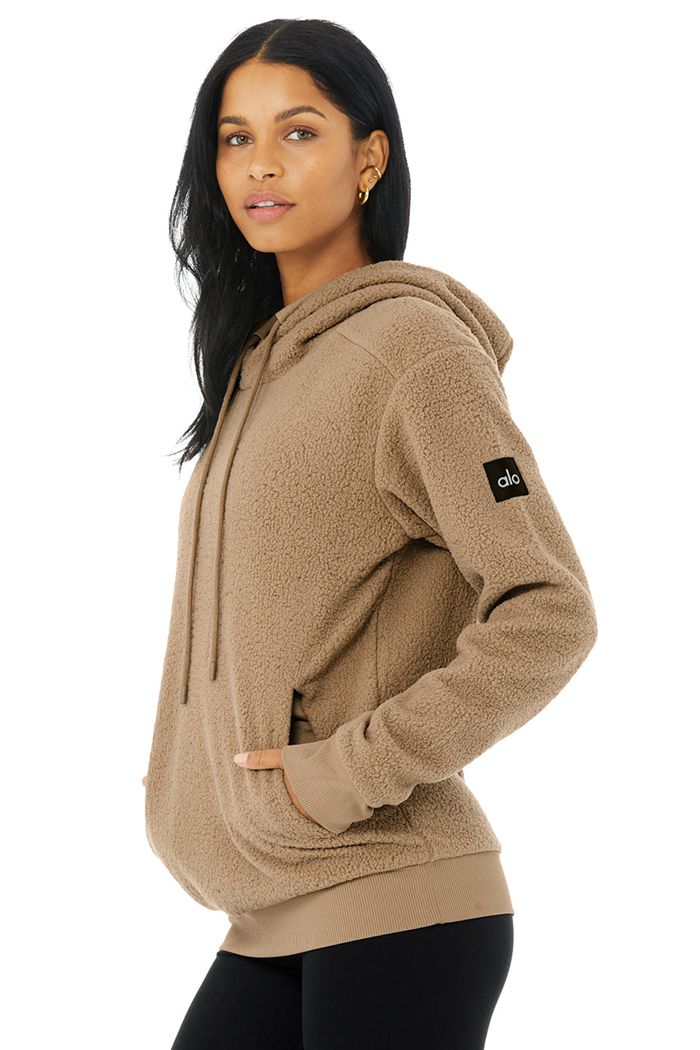 Alo Yoga Sherpa Hoodie Herr Bruna | 6470513-DE