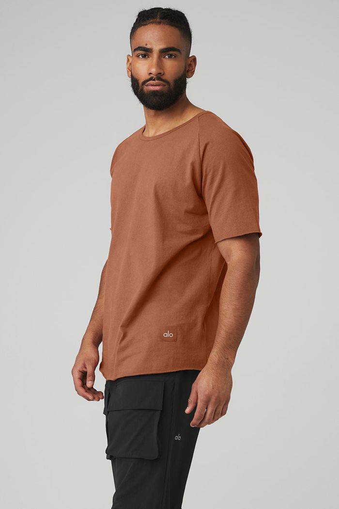 Alo Yoga Society Crewneck Tee Short Sleeve Herr Röda | 0137869-DF