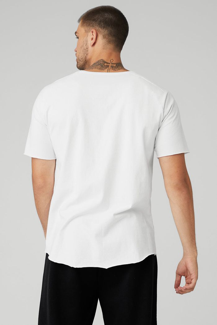 Alo Yoga Society Crewneck Tee Short Sleeve Herr Vita | 1087534-AT