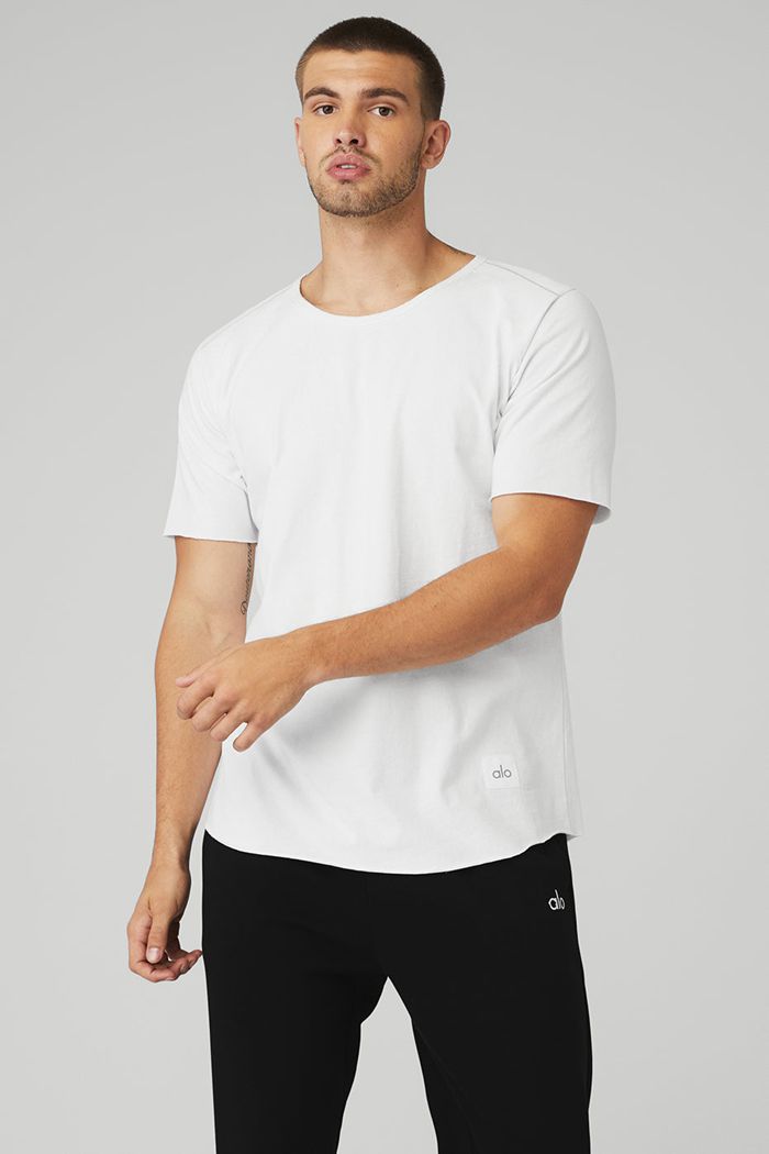 Alo Yoga Society Crewneck Tee Short Sleeve Herr Vita | 1087534-AT