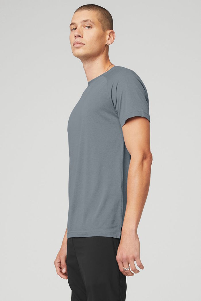 Alo Yoga The Triumph Crew Neck Tee Short Sleeve Herr Grå | 2687910-MN