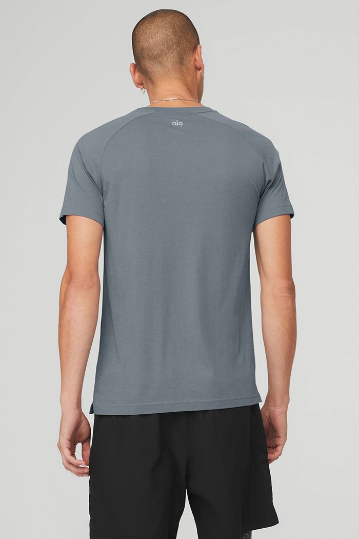 Alo Yoga The Triumph Crew Neck Tee Short Sleeve Herr Grå | 2687910-MN