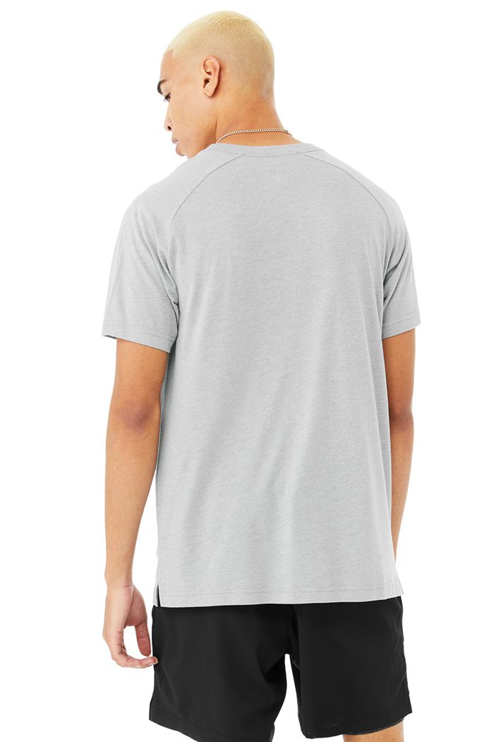 Alo Yoga The Triumph Crew Neck Tee Short Sleeve Herr Grå | 3081627-XJ