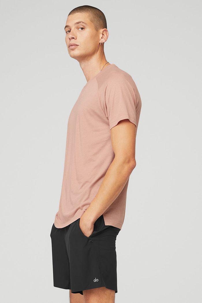 Alo Yoga The Triumph Crew Neck Tee Short Sleeve Herr Rosa | 6489310-NY