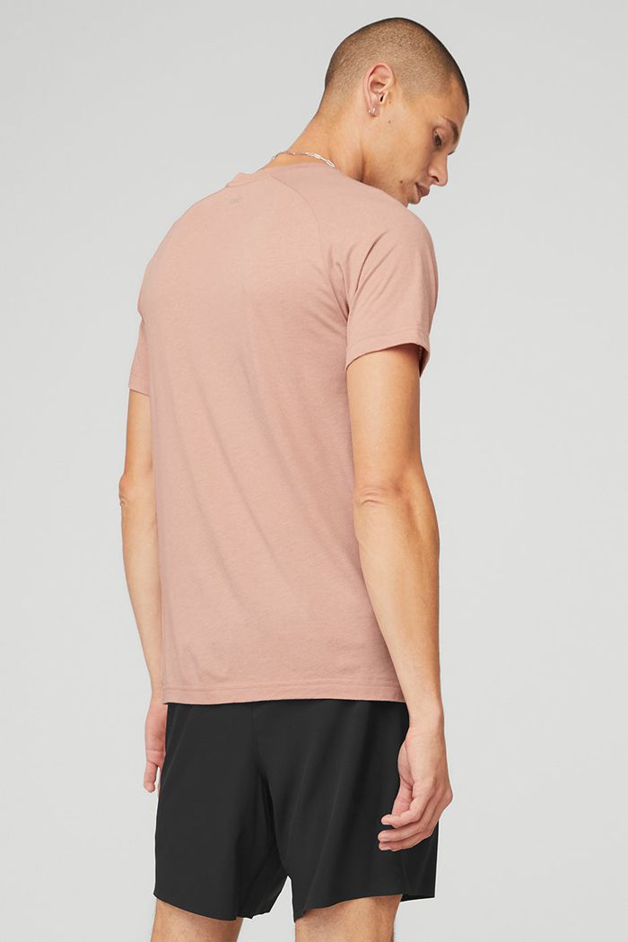 Alo Yoga The Triumph Crew Neck Tee Short Sleeve Herr Rosa | 6489310-NY