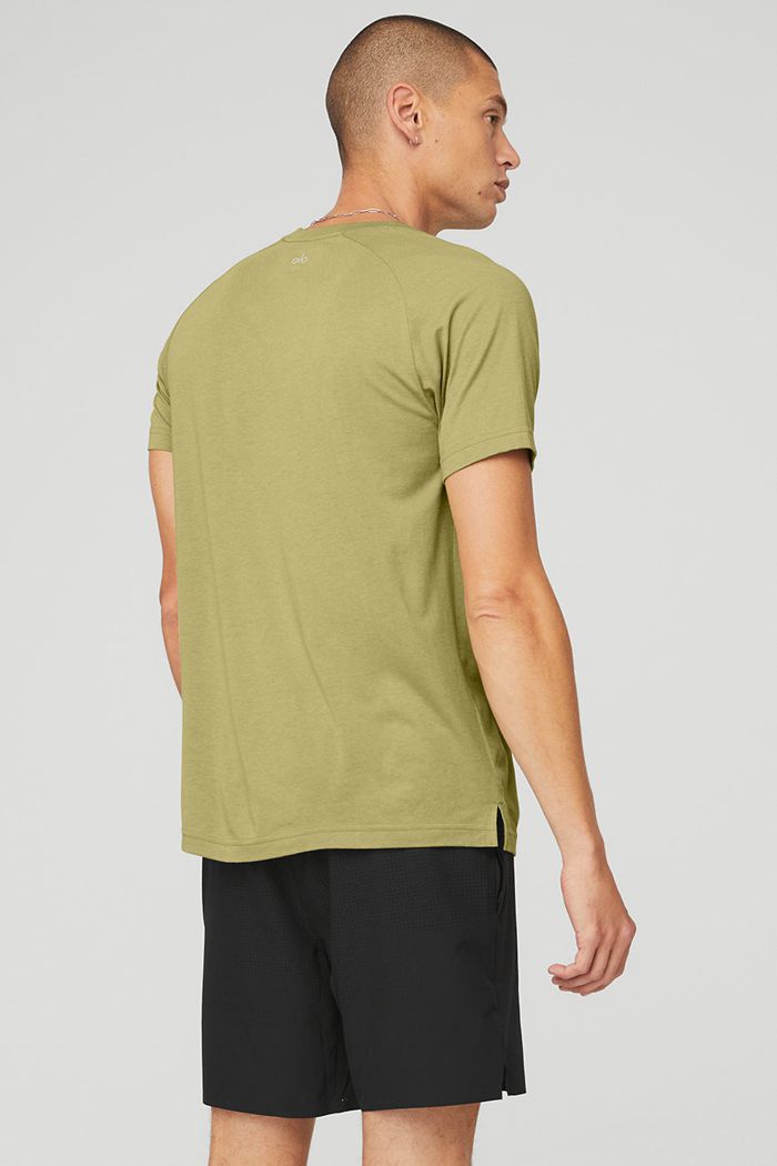 Alo Yoga The Triumph Crew Neck Tee Short Sleeve Herr Gröna | 6702853-TK