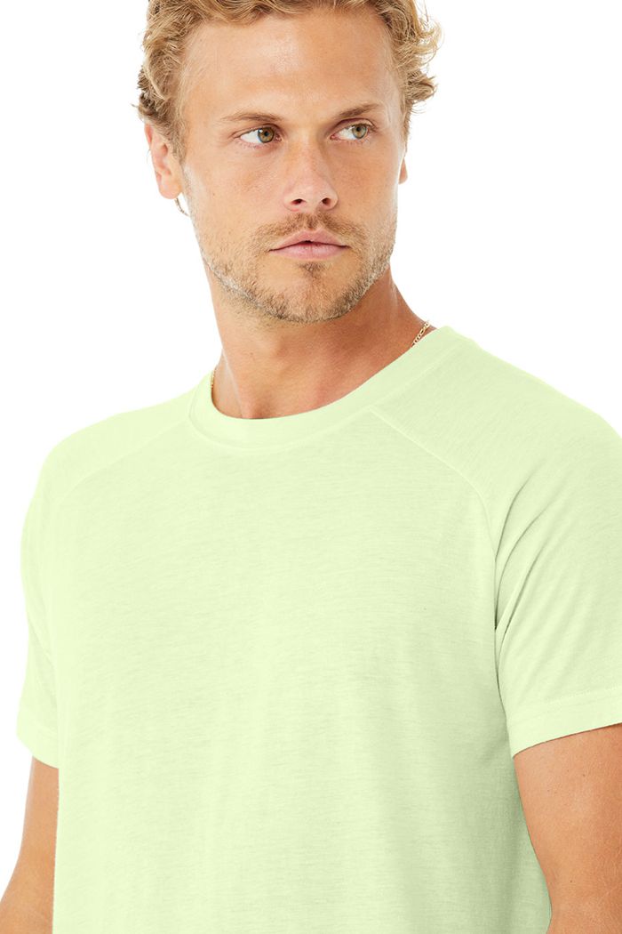 Alo Yoga The Triumph Crew Neck Tee Short Sleeve Herr Gröna | 8149605-JC