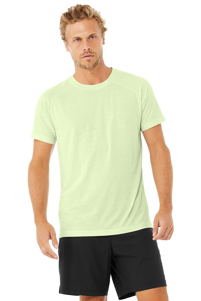 Alo Yoga The Triumph Crew Neck Tee Short Sleeve Herr Gröna | 8149605-JC