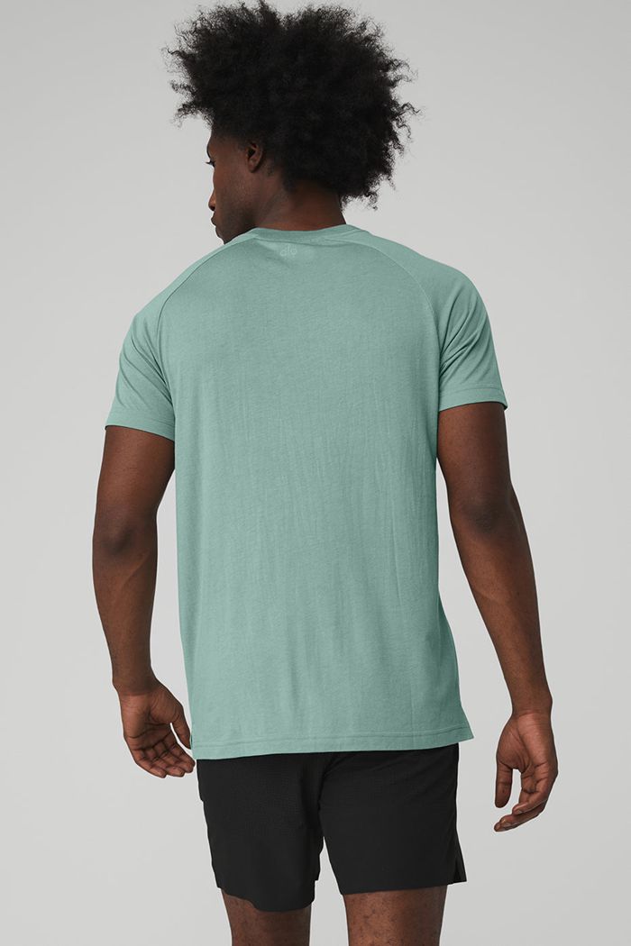 Alo Yoga The Triumph Crew Neck Tee Short Sleeve Herr Blå | 8207163-JR