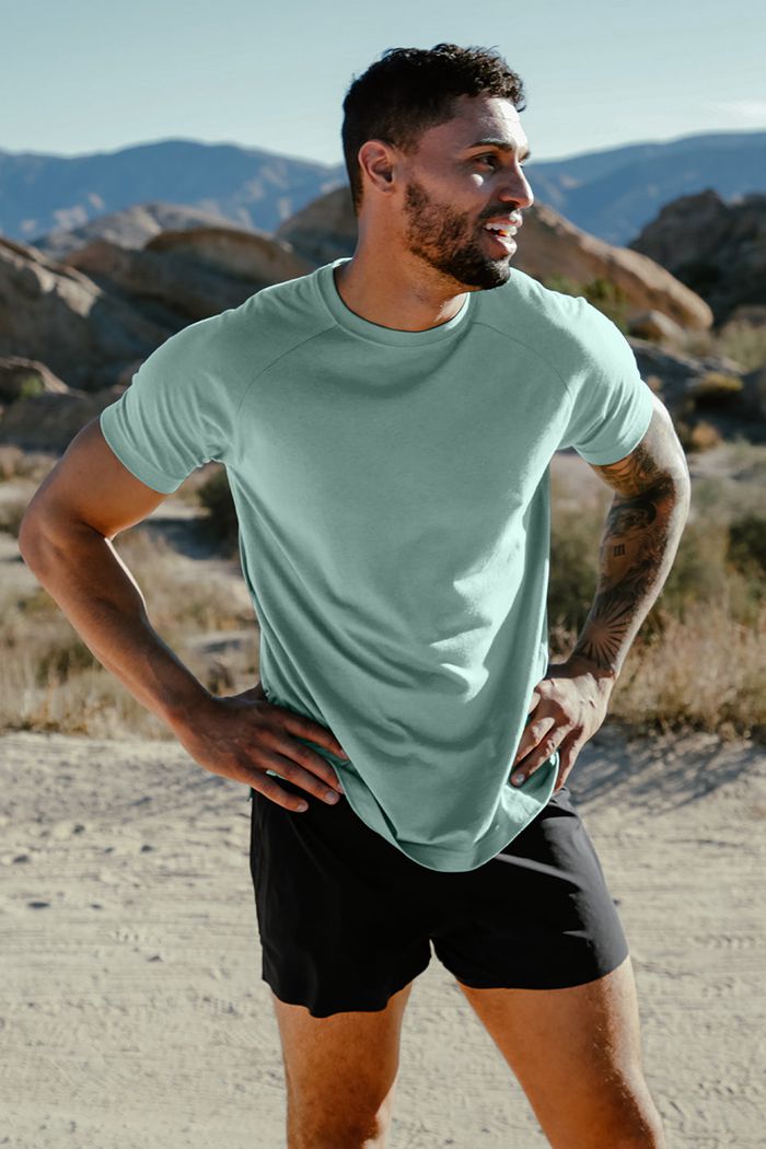 Alo Yoga The Triumph Crew Neck Tee Short Sleeve Herr Blå | 8207163-JR