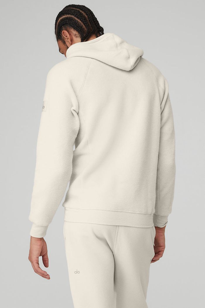 Alo Yoga The Triumph Hoodie Herr Beige | 6297531-IF