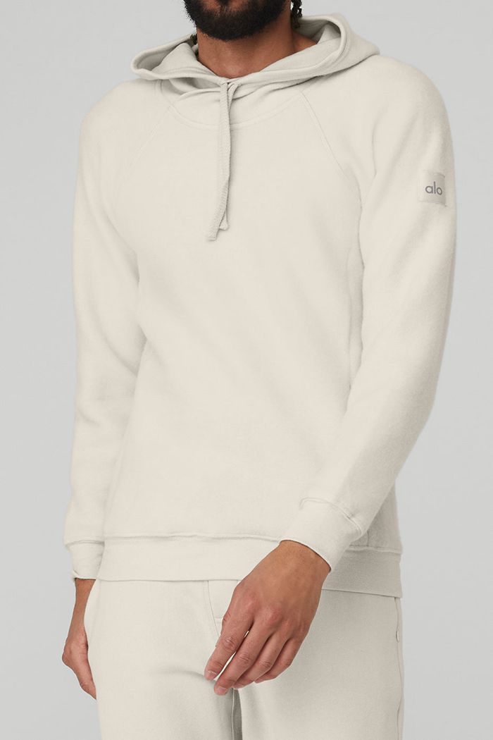 Alo Yoga The Triumph Hoodie Herr Beige | 6297531-IF