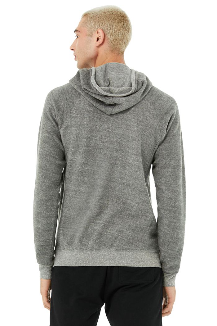 Alo Yoga Triumph Hoodie Herr Grå | 5027319-LG