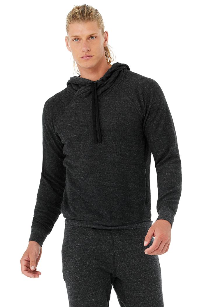 Alo Yoga Triumph Hoodie Herr Grå Svarta | 6584107-IM