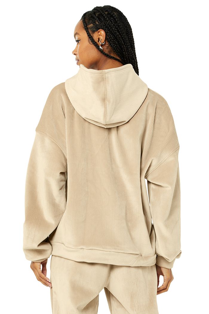 Alo Yoga Velour Baller Hoodie Dam Bruna | 0297361-CW