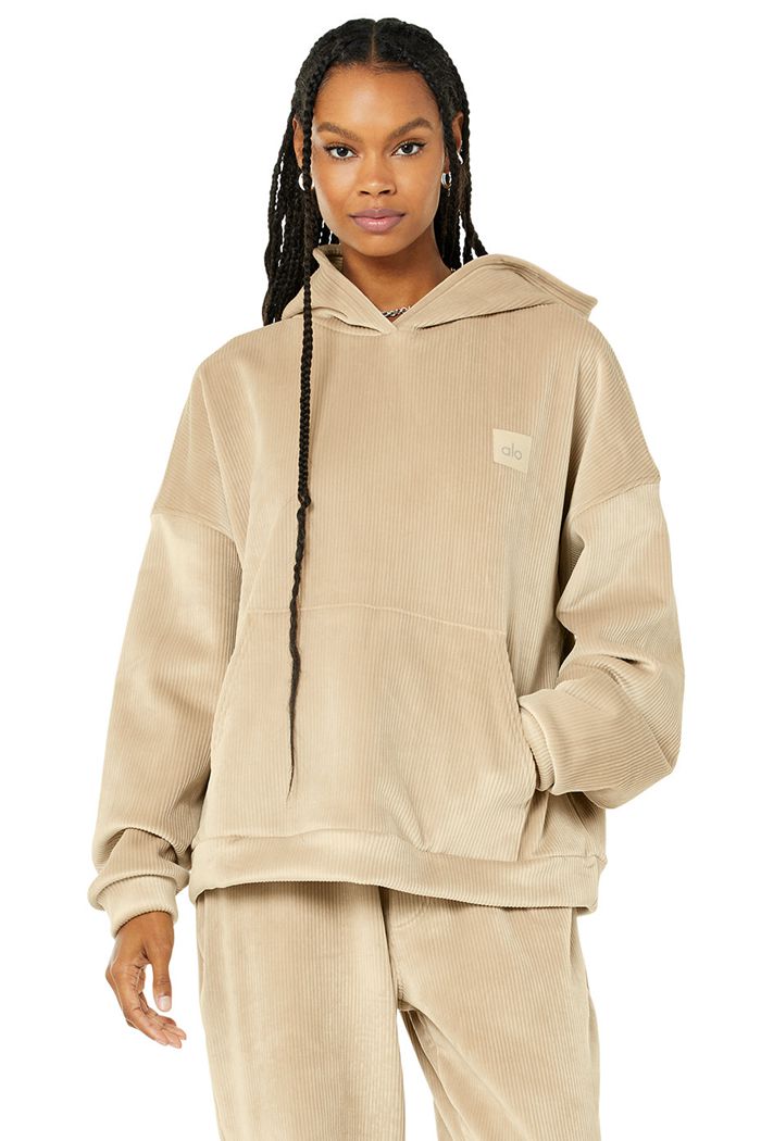 Alo Yoga Velour Baller Hoodie Dam Bruna | 0297361-CW