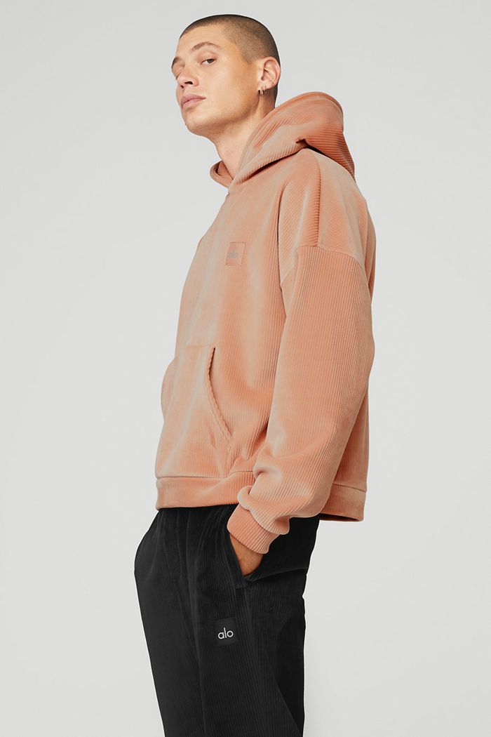 Alo Yoga Velour Baller Hoodie Herr Rosa | 5862107-YD