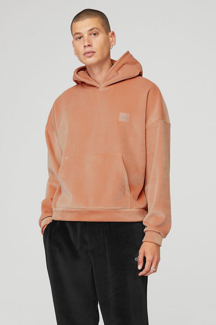 Alo Yoga Velour Baller Hoodie Herr Rosa | 5862107-YD